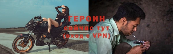 гашик Арсеньев