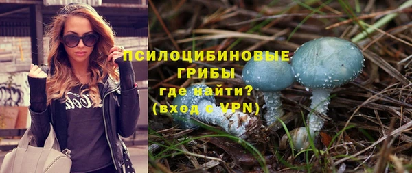 мяу мяу кристалл Алексин